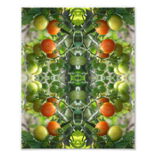 Garden Cherry Tomatoes Abstract Nature 8x10 Photo Print