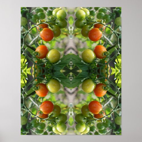 Garden Cherry Tomatoes Abstract Nature Art     Poster