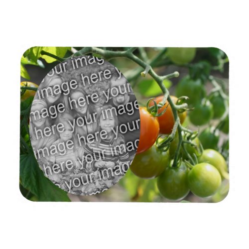 Garden Cherry Tomatoes Add Your Photo Magnet