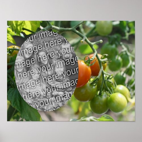 Garden Cherry Tomatoes Add Your Photo Poster