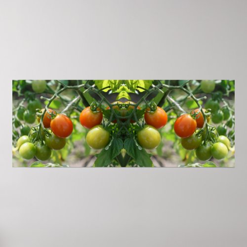 Garden Cherry Tomatoes Mirror Abstract Poster