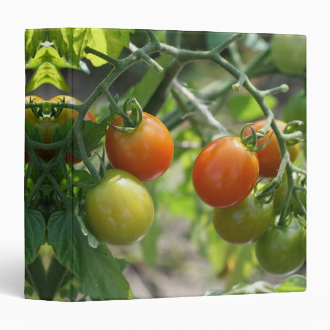 Garden Cherry Tomatoes Nature  3 Ring Binder (Front/Spine)