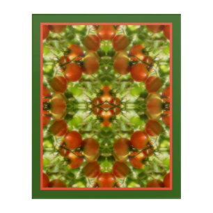 Garden Cherry Tomatoes Nature Abstract Acrylic Print