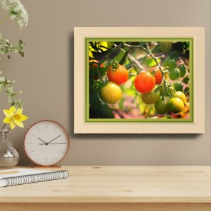 Garden Cherry Tomatoes Nature Framed Art
