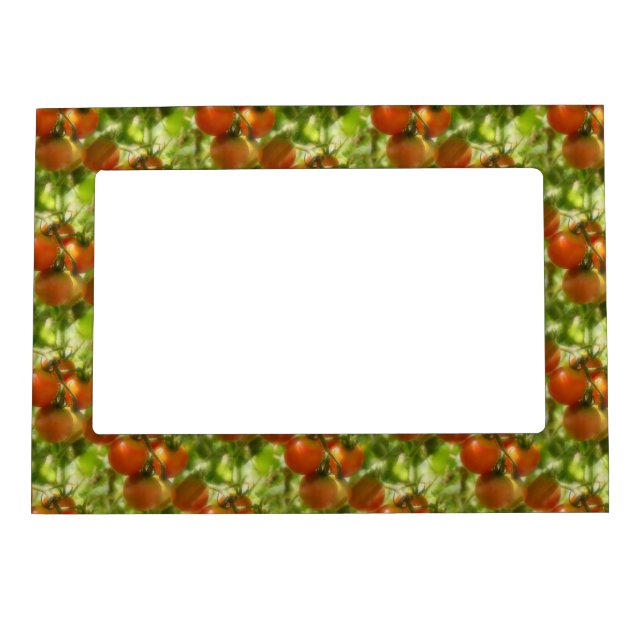 Garden Cherry Tomatoes Nature Pattern   Magnetic Frame (Front)
