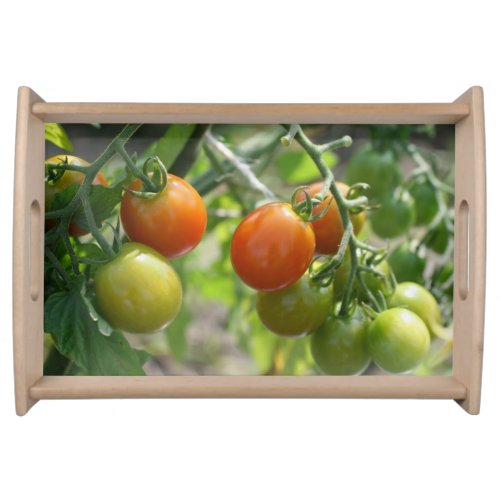 Garden Cherry Tomatoes Nature Serving Tray