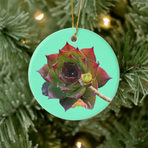 Garden Colorful Succulent Sempervivum Plant Ceramic Ornament
