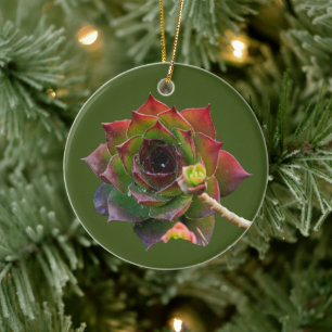 Garden Colorful Succulent Sempervivum Plant Ceramic Ornament