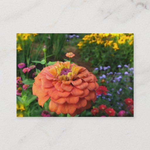 Customizable Garden Colors ATC Business Cards