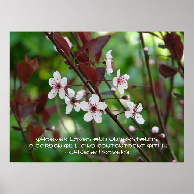 Garden Contentment-Chinese Proverb Poster (Front)