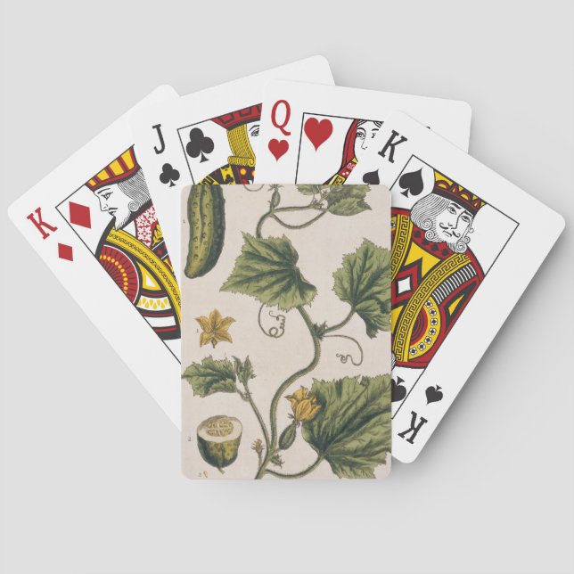 Garden Cucumber, plate 4 from 'A Curious Herbal', Poker Cards (Back)