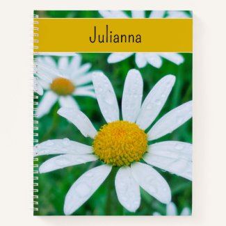 Garden Daisy Flowers Daisies Floral Personalized