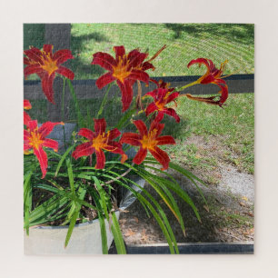 Garden Daylilies Flowers Summer Photo Nature Jigsaw Puzzle