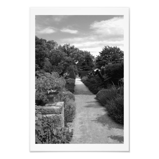 Garden Dream Photo Print (Front)