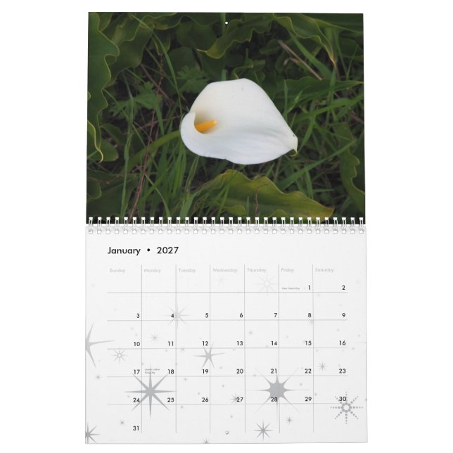 Garden Dreams 2011 Calendar (Jan 2027)