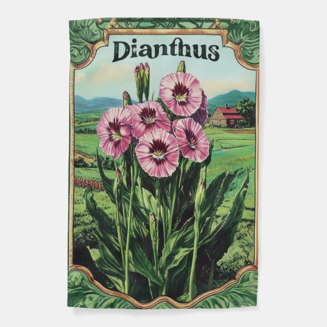 Garden flag dianthus (Front)