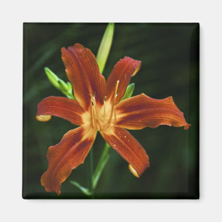 Garden Flame Magnet