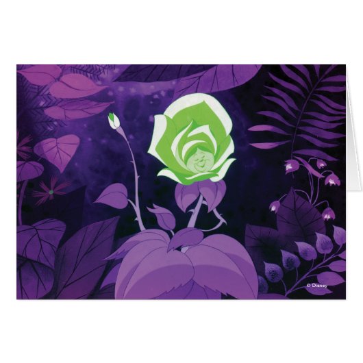 Garden Flower Film Still (Front Horizontal)