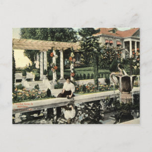 Garden Flower Scene, Los Angeles 1914 Vintage Postcard