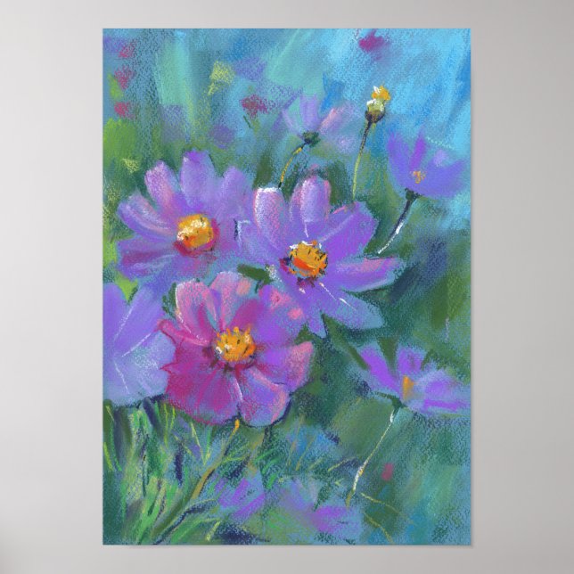 Garden flowers (Cosmos bipinnatus, Mexican aster) Poster (Front)