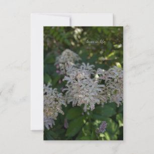 Garden Flowers Note Card