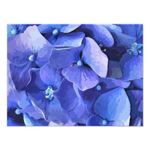 GARDEN FLOWERS PHOTO PRINT