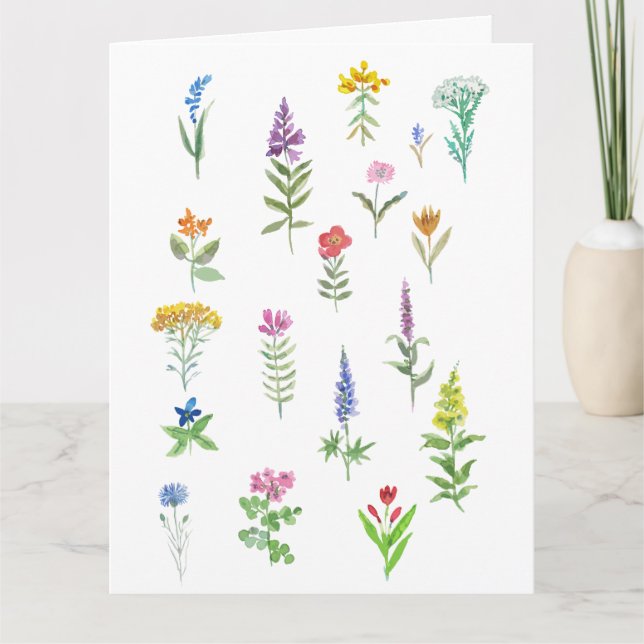 garden flowers postcard  (Front)