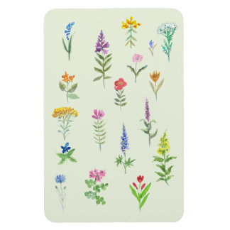 garden flowers postcard magnet