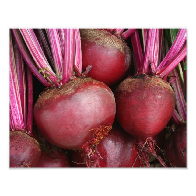 Garden Fresh Bunch of Beets Photo Print (Front)