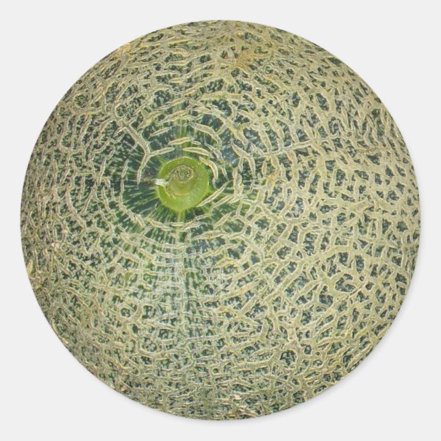 Garden Fresh Cantaloupe Classic Round Sticker (Front)