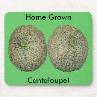 Garden Fresh Cantaloupe Mouse Pad