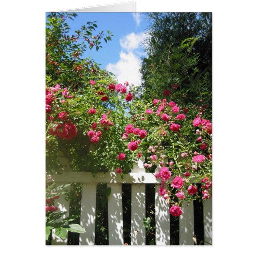 garden gate cards (Front)