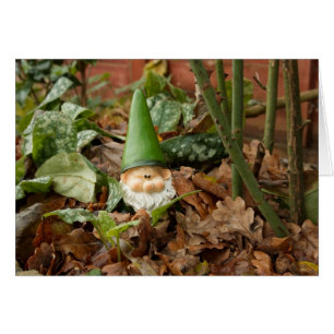 Garden gnome cards