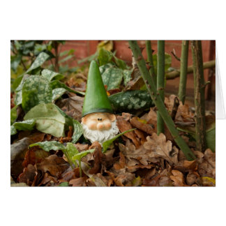 Garden gnome cards
