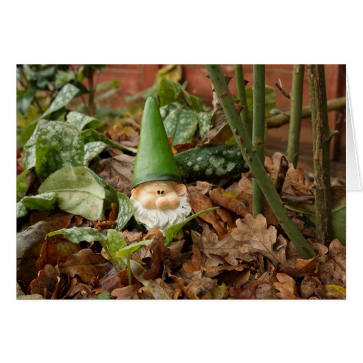 Garden gnome cards (Front Horizontal)