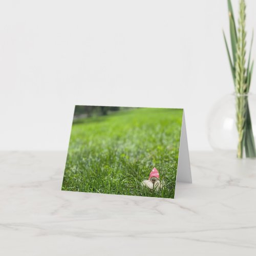Garden Gnome pink hat Greeting Card Blank Inside