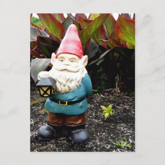 Garden Gnome Postcard
