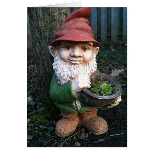 Garden Gnomes Cards (Front)