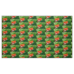 Garden Goodies Fabric
