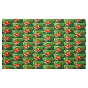Garden Goodies Fabric