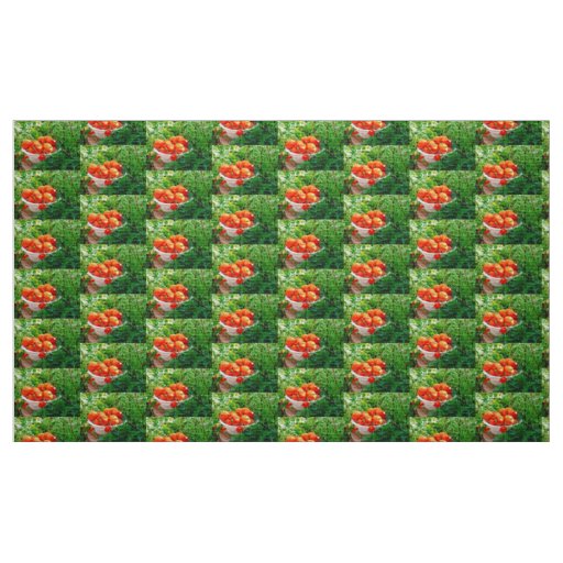 Garden Goodies Fabric