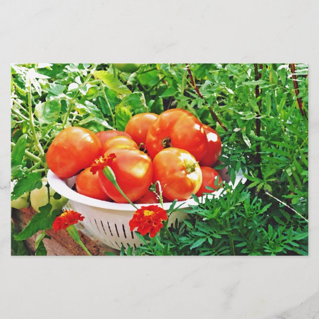 Garden Goodies Stationery (Front)