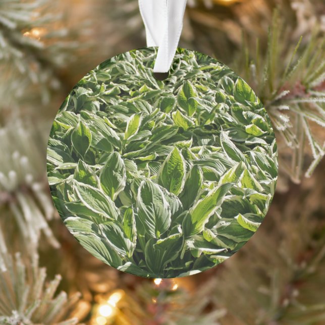 Garden Green Leaf Cute Father's Day Plant Dad Gift Ornament (Tree)