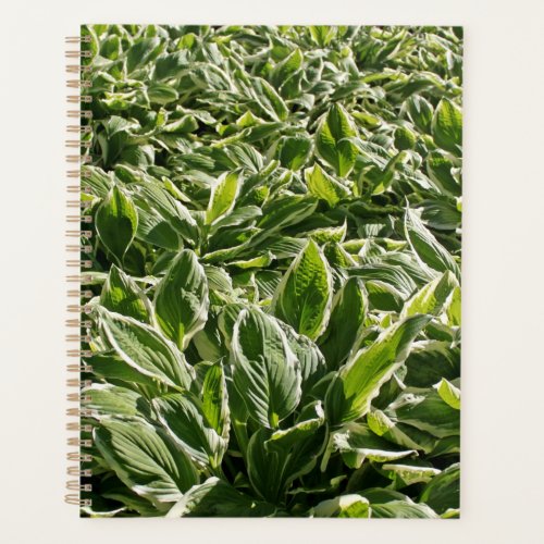Garden Green Leaves Fathers Day Plant Dad Gift Planner