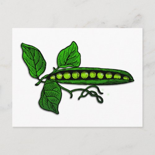 Garden Green Pea Pods Postcard