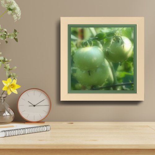 Garden Green Tomatoes Nature Framed Framed Art