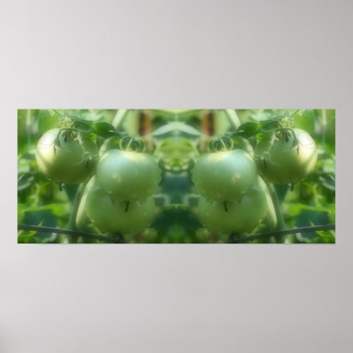 Garden Green Tomatoes Nature Mirror Abstract Poster