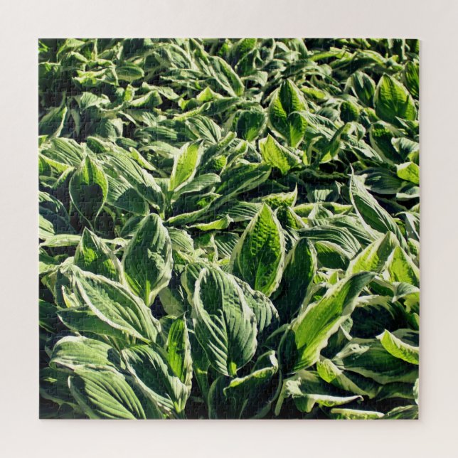 Garden Green White Hosta Plants Abstract Artistic Jigsaw Puzzle (Vertical)