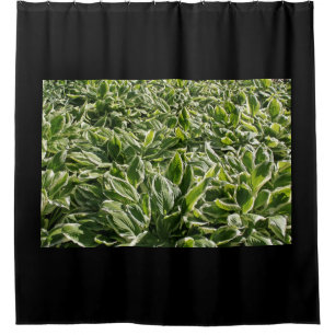 Garden Green White Hosta Plants Leaves Photo Black Shower Curtain