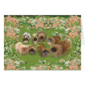 Garden Group (Front Horizontal)